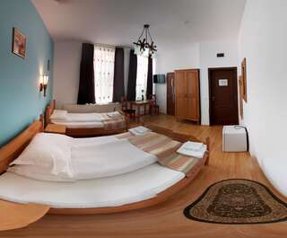 Гостевой дом Pensiunea Muresul Тыргу-Муреш Улучшенный двухместный номер с 1 кроватью-3